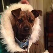 Spanqui Zilberfarb's photo