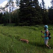 John Thoennes's photo