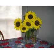 Debby Manning's photo