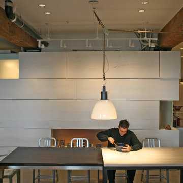 Hopkins Baumman Loft