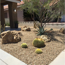 Front Landscaping