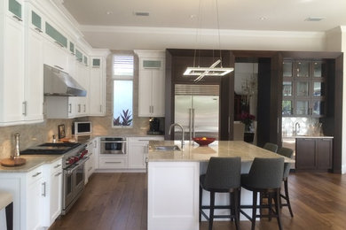 Kitchen - contemporary kitchen idea in Miami