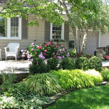 front yard