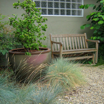 A San Leandro Garden