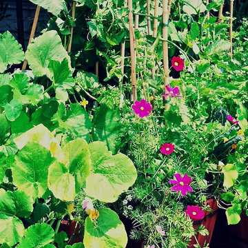 A variety of raised beds and other various smaller landscaping jobs