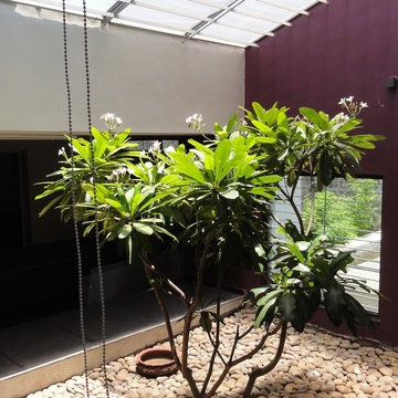gandhi farm house