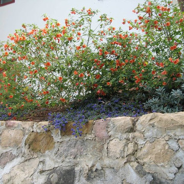 Topanga Garden