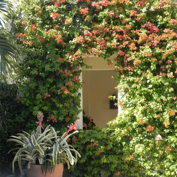 container gardens