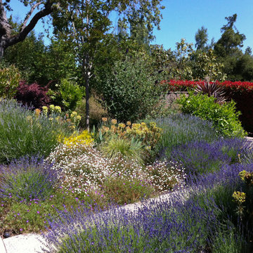 Mediterranean Estate Garden