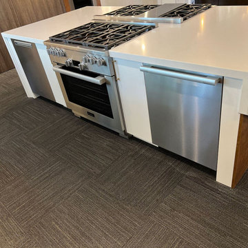 Give Your Kitchen a Fresh Look with Expert Renovation