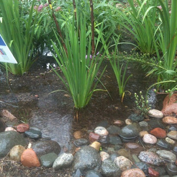Green Infrastructure Project