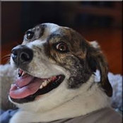 Barbara Clayton's photo
