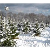 Steve Kleppin's photo