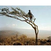 Mohammed Bello's photo