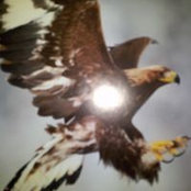 Eugenio de Lechosa's photo