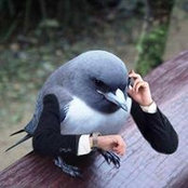 Stephen Bona's photo