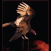 Lisa King's photo