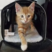 Melissa Whitacre's photo