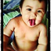 Foto de Ped King