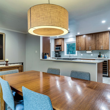 Mid-Century Modern Kitchen Design Alexandria, VA