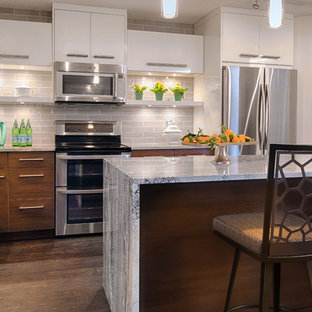 Downtown Contemporary Condo Kitchen