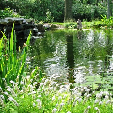Ponds