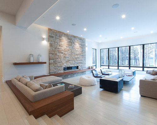 Modern Living Room Design Ideas, Remodels amp; Photos  Houzz