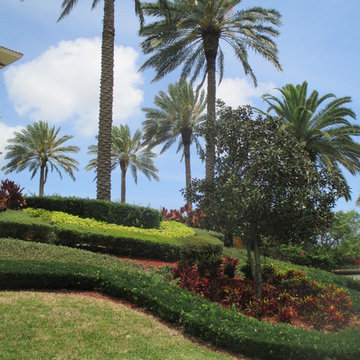 Palm Tree Catalog  (will have hundreds to view - work in progress)