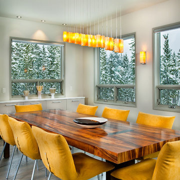 Buckhead Client's Ski Retreat - Dining Room