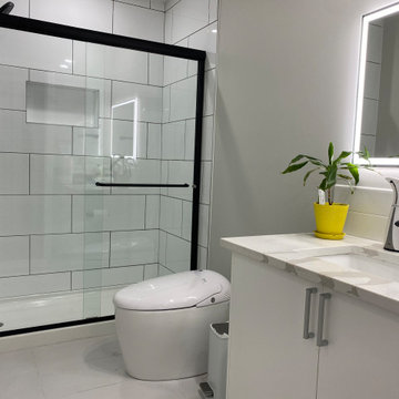 Basement Modern Bathhroom