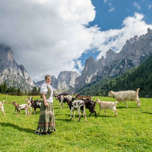 Vacation Alps