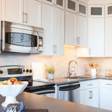 Roscoe Village Remodel