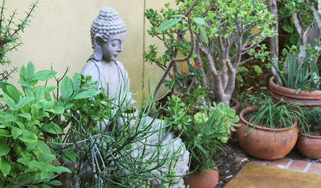 This is What's Missing From Your Garden