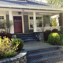 Exterior Look and Colors
