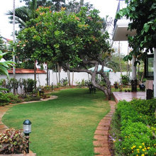 Our Garden in Bangalore India