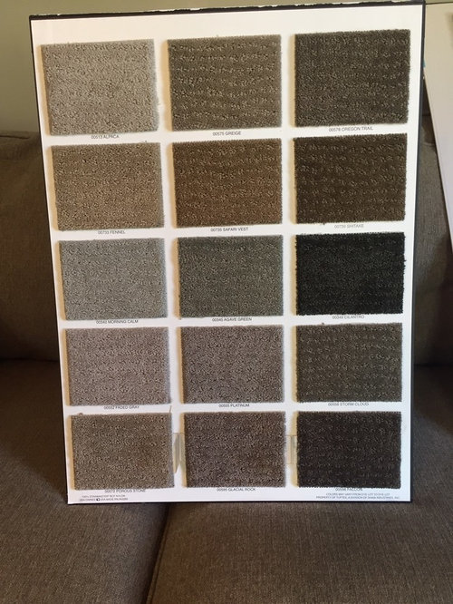 Should Carpet Be Lighter Or Darker Than Sofa