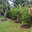 Hope Valley Tree Farm