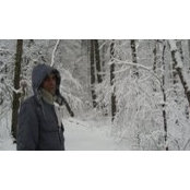 Danesh Foroughi's photo