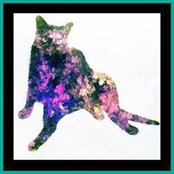 Debi B's photo