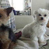 Peggy Rice's photo