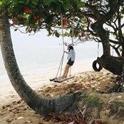 Foto von Lu Lin
