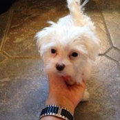Kim Jarrell's photo