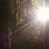 Adam Busch's photo