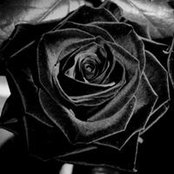 Kathi Shannon's photo