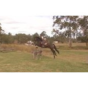 Chantal Thenberg's photo