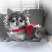 Katherine Ann's photo