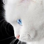Foto von FaNy Liarte