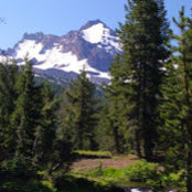Donna Mansour's photo