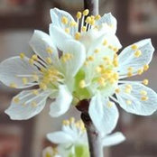 Saida Beriya's photo