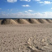 Foto von Ann Marie Tuttle